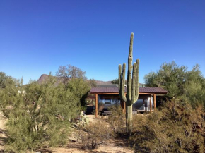 Vintage Airstream Lola Saguaro National Park